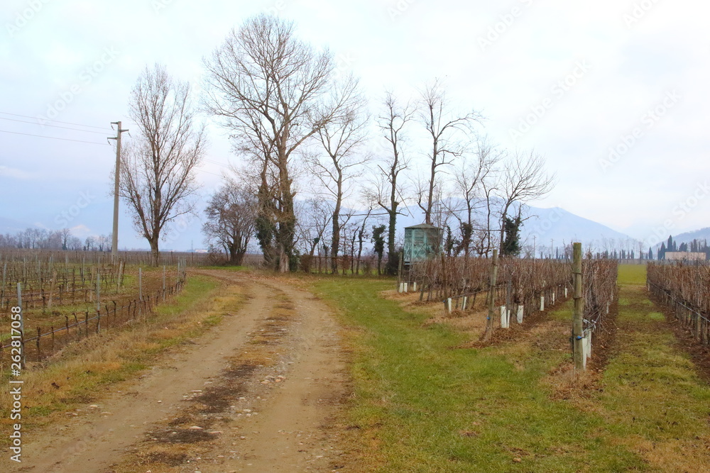 Fototapeta premium Northern Italy countryside landscape in winter