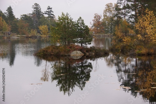 Small island in a lake 