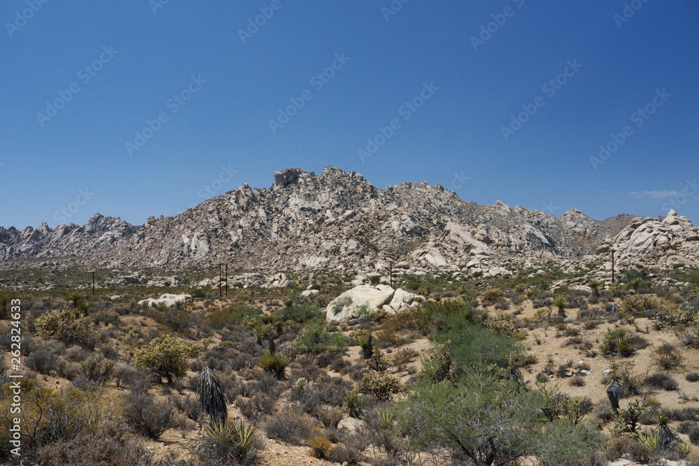 landscape with mountains and blue sky in Joshua Tree National Park California USA