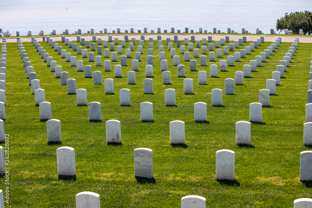 Fototapeta premium rows of tombstones