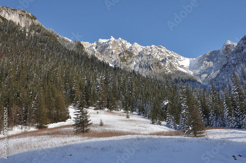 Zakopane - Dolina Kościeliska zimą - Hala Pisana