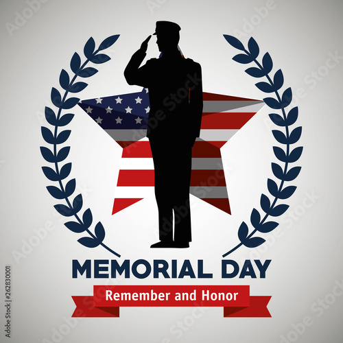soldier with usa star flag and branches leaves