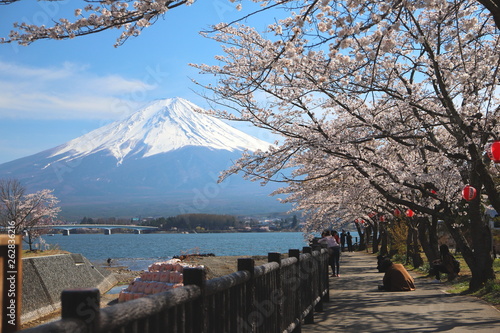 河口湖 湖畔の富士山