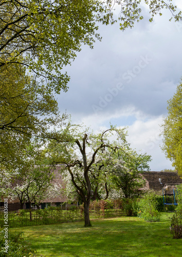 Village of Orvelte Drente Netherlands. Countrylife. Farm photo