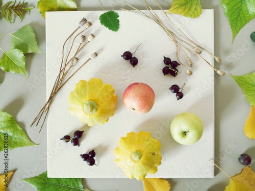 Summer seasonal composition of fruits, vegetables, flowers on a white plate and green tinted paper, painted with pastel, top view photo