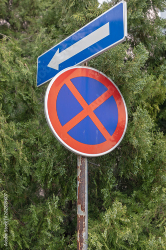 Overgrown Traffic Sign