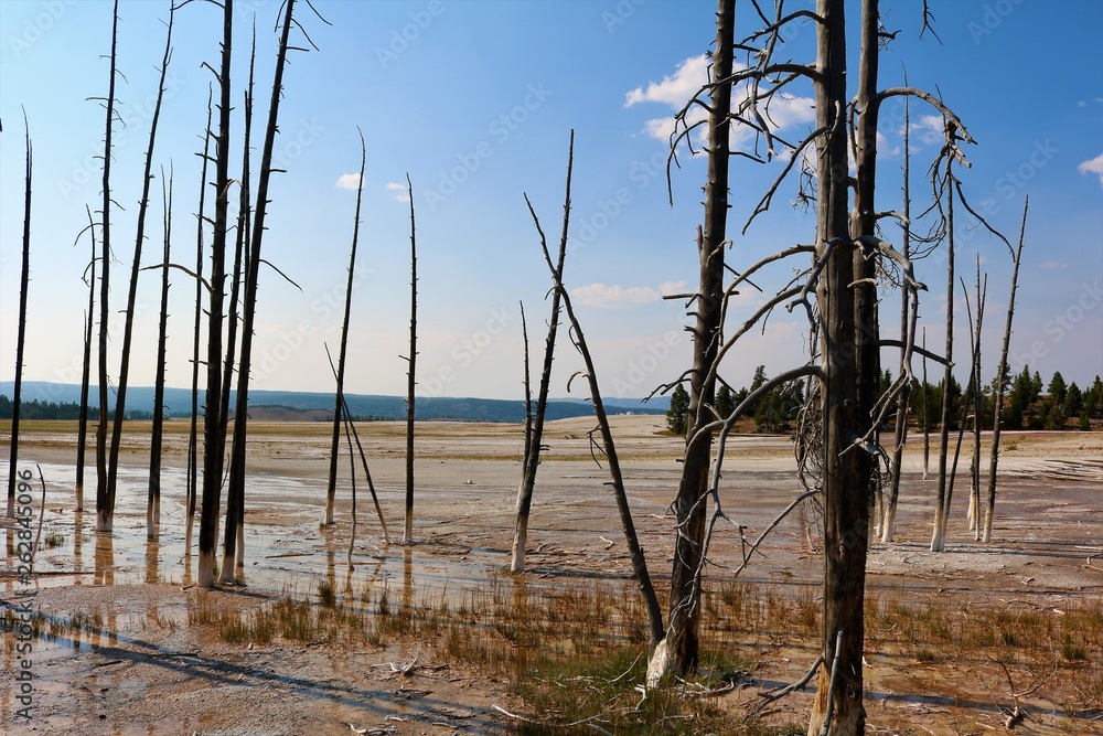 Yellowstone