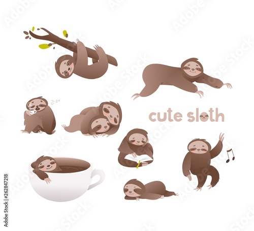 Cute sloth vector illustration set - funny adorable lazy sleepy animal in various actions.