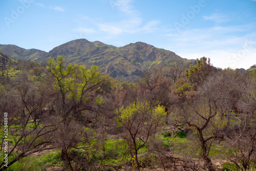 Malibu Creek State Park in California - travel photography