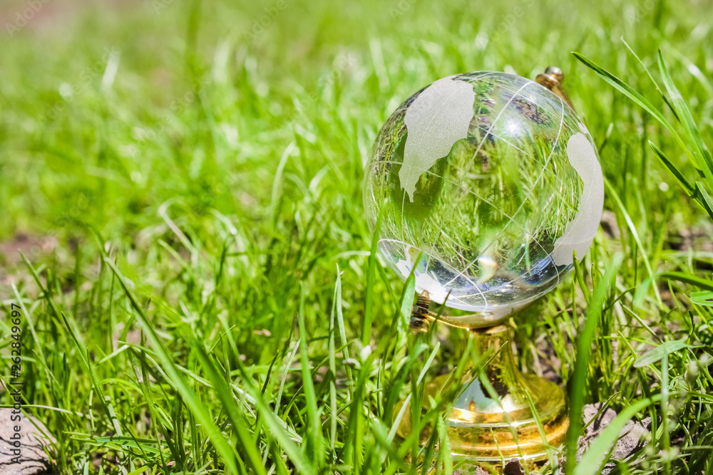 beautiful stylish GLASS land on the grass in a park on the nature background