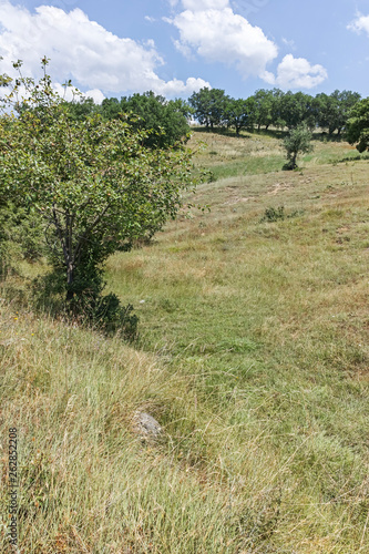 Summer Landscape of Ograzhden Mountain, Blagoevgrad Region, Bulgaria