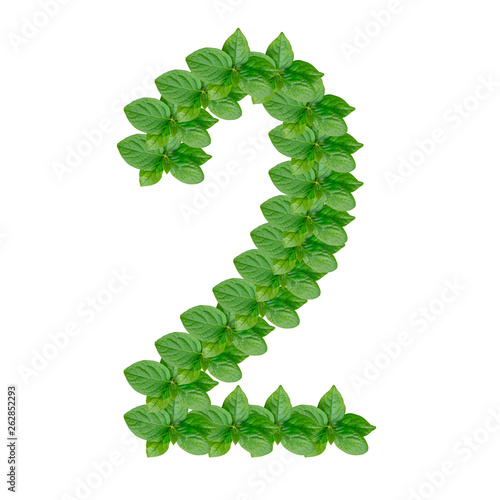 Number 2 made from green leaves of persimmon  alphabet on isolated white background