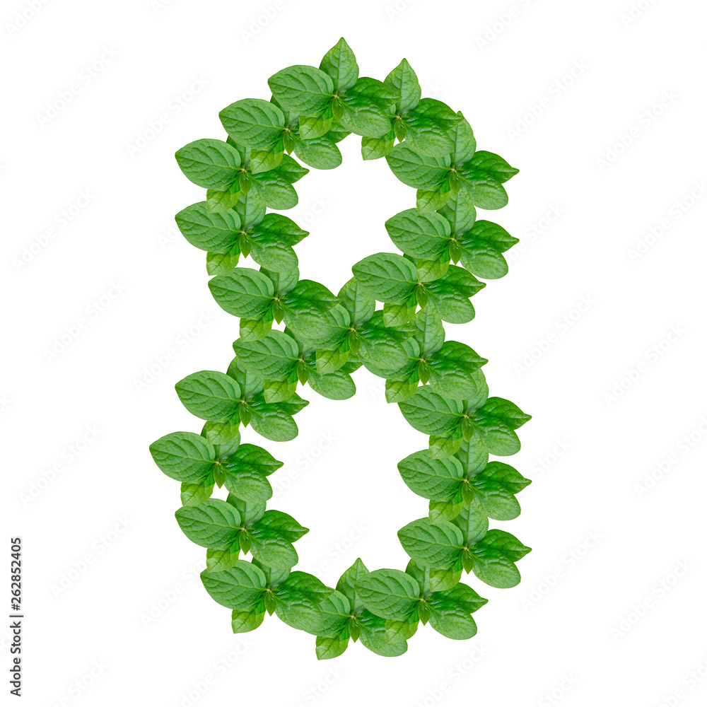 Number 8 made from green leaves of persimmon, alphabet on isolated white background