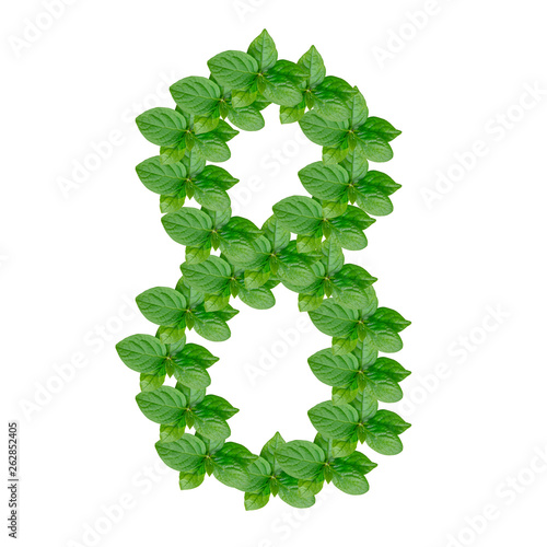 Obraz na płótnie Number 8 made from green leaves of persimmon, alphabet on isolated white background w salonie