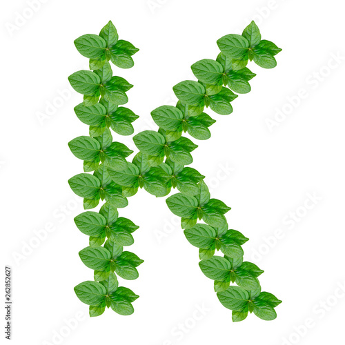Obraz na płótnie Letter K made from green leaves of persimmon, alphabet on isolated white background w salonie