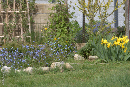 massif de plantes fleuries au printemps dans jardin