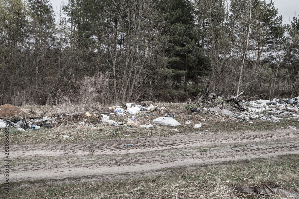 custom made wallpaper toronto digitalGarbage dump on the side of the road
