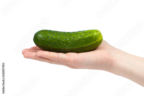 Hand holding organic delicious cucumber Isolated on white Background. Healthy eating and dieting concept