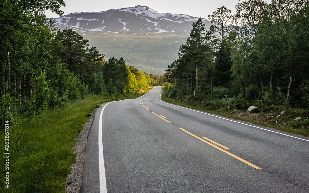 Fototapeta premium The mountain road in Norway passes through the forest.