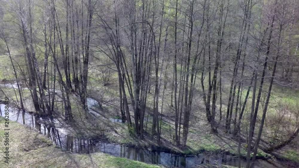 Spring forest trees landscape. Spring nature forest background forest. Aero. Sunny day. 4K Spring forest trees landscape. Spring nature forest background forest. Aero. Sunny day. 4K