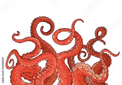 Red octopus tentacles reaching upwards