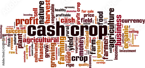 Cash crop word cloud