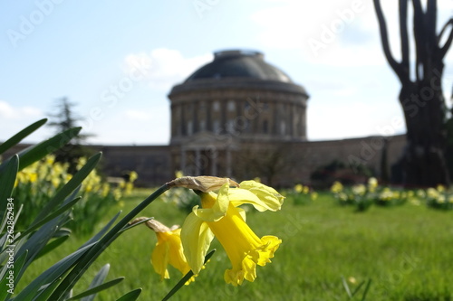 Ickworth House, Bury St Edmunds, Suffolk, England, UK photo