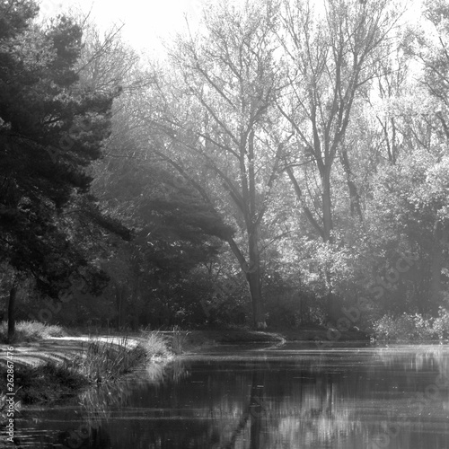 Wallpaper Mural shadows Torontodigital.ca