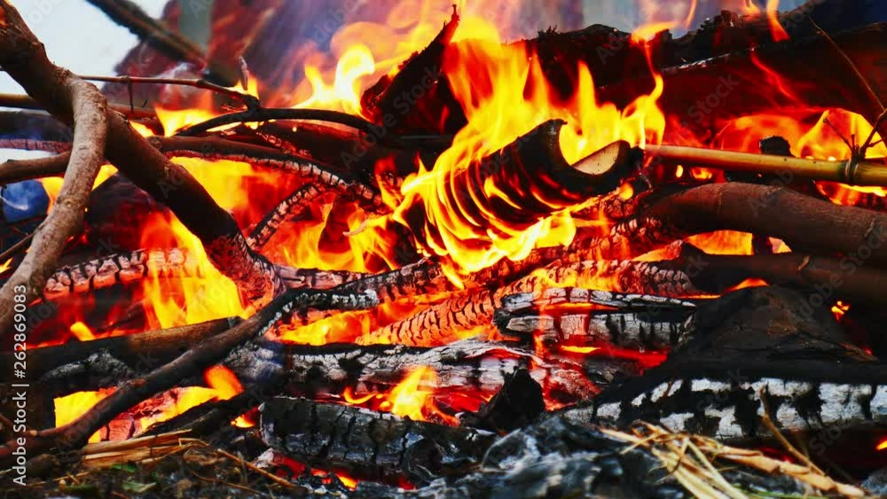 Close-up of burning fire flame with burnt firewood. Close-up of burning fire flame with burnt firewood.