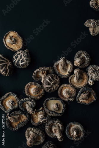 Mushroom Harvest photo