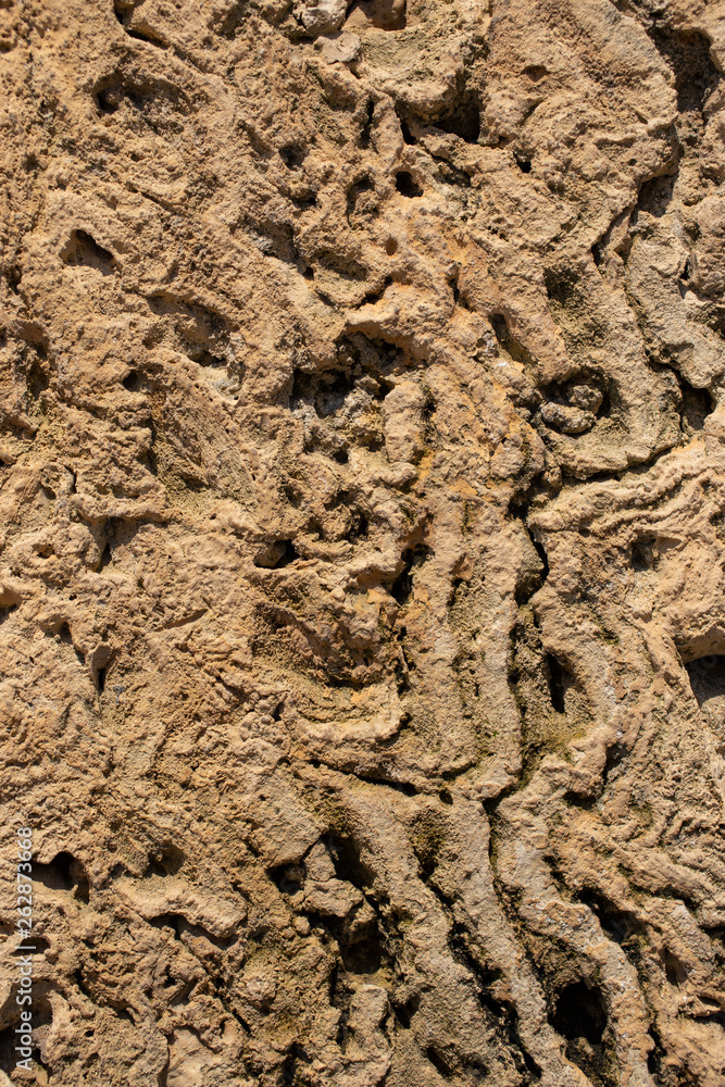 The texture of marine sedimentary rock, used in finishing works in construction. Wall. Stone. Bricks. Volcanic tuff. The texture of marine sedimentary rock, used in finishing works in construction. Wall. Stone. Bricks. Volcanic tuff.