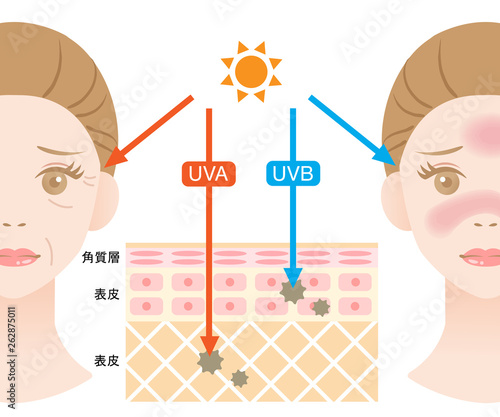 紫外線　UVA UVB