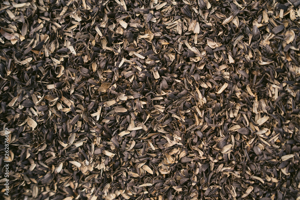 Texture of black sunflower seeds, charlach from seeds Texture of black sunflower seeds, charlach from seeds