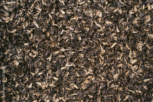 Texture of black sunflower seeds, charlach from seeds