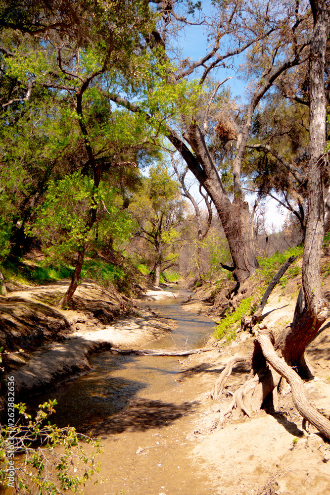 Fototapeta premium Malibu Creek State Park in California - travel photography