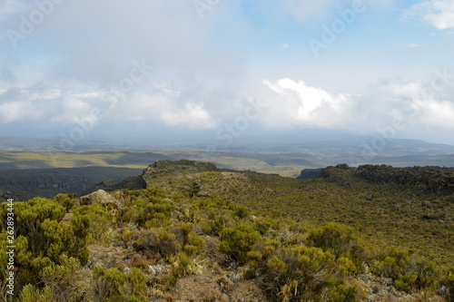 The highland altitude moorland against a mountain background, Mount Kilimanjaro National Park, Tanzania