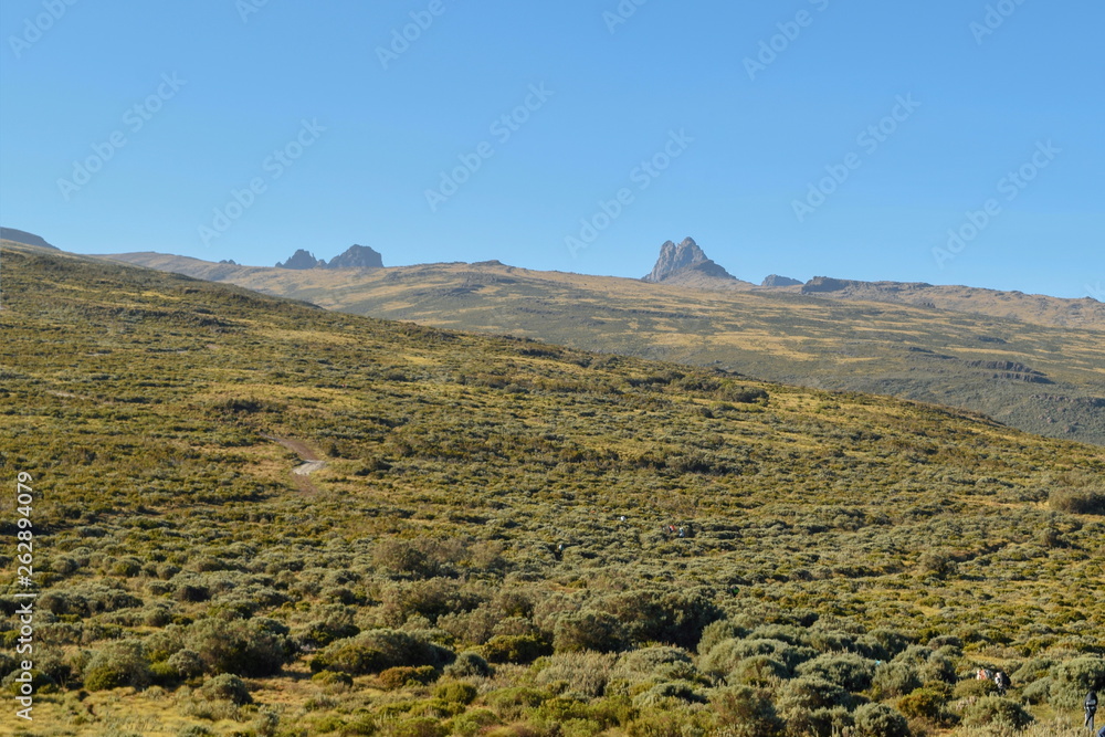 The high altitude moorland in Mount Kenya