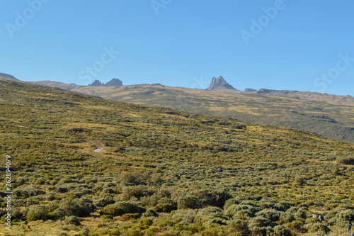 The high altitude moorland in Mount Kenya