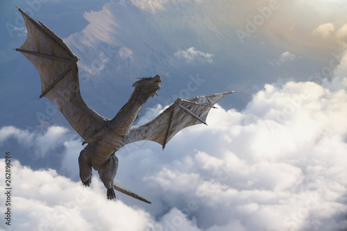 the dragon fly 3D render photo