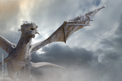 Dekoracja na wymiar  the-dragon-fly-3d-render