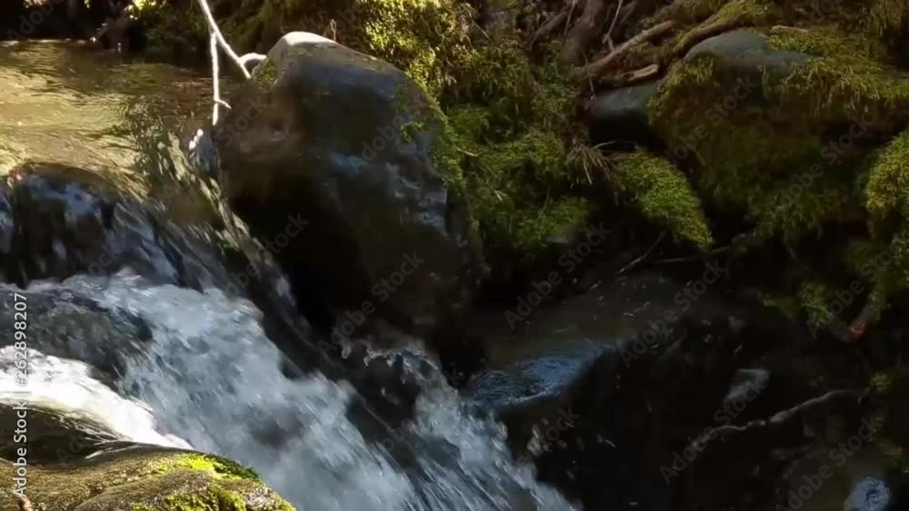 Water cascading over moss covered rocks in a mountain stream on a warm spring day Water cascading over moss covered rocks in a mountain stream on a warm spring day
