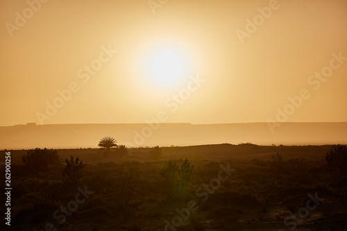 sunrise sahara morning desert oasis © Helmut