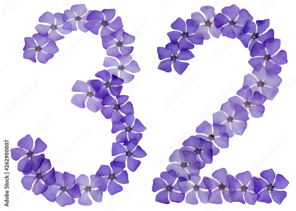 Numeral 32, thirty two, from natural blue flowers of periwinkle, isolated on white background