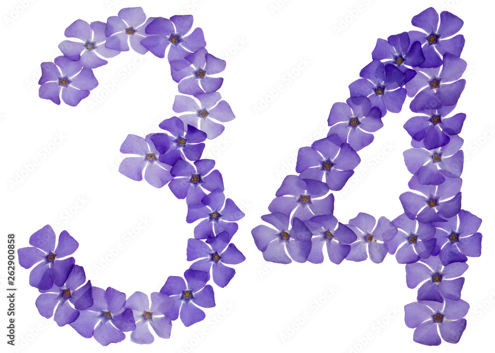 Numeral 34, thirty four, from natural blue flowers of periwinkle, isolated on white background