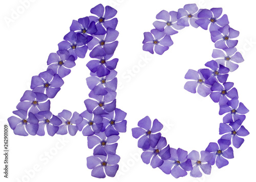 Numeral 43, forty three, from natural blue flowers of periwinkle, isolated on white background