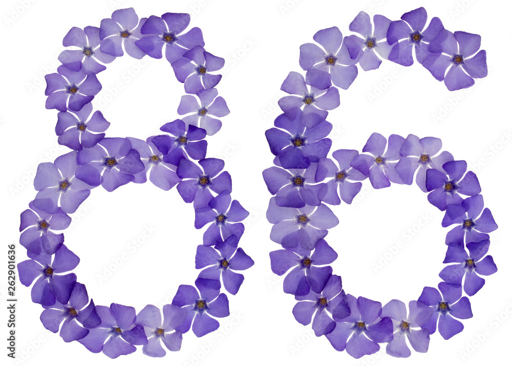 Numeral 86, eighty six, from natural blue flowers of periwinkle, isolated on white background