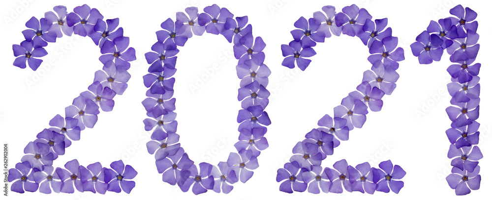 Inscription 2021, from natural blue flowers of periwinkle, isolated on white background Inscription 2021, from natural blue flowers of periwinkle, isolated on white background