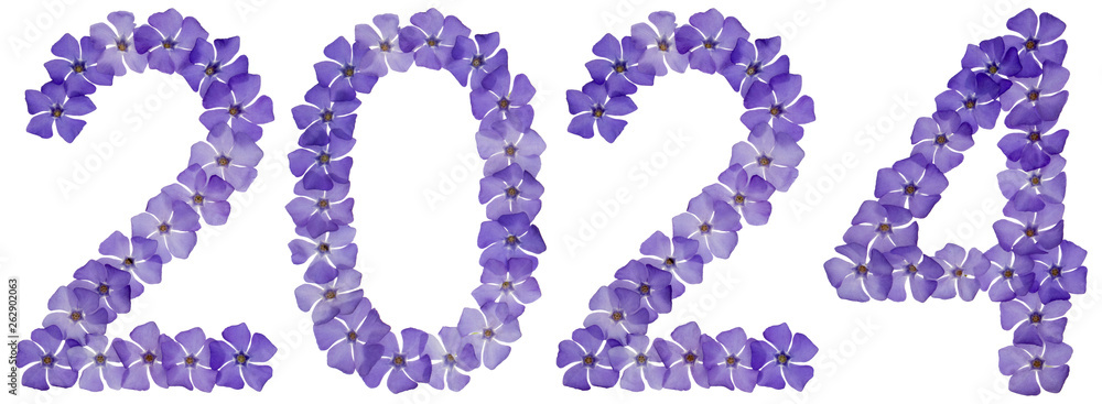 Inscription 2024, from natural blue flowers of periwinkle, isolated on white background