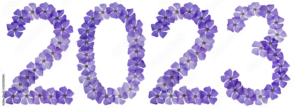 Inscription 2023, from natural blue flowers of periwinkle, isolated on white background