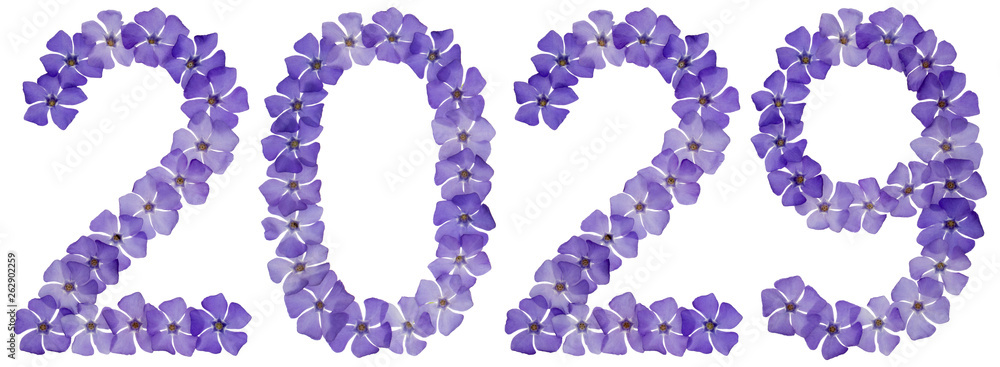 Inscription 2029, from natural blue flowers of periwinkle, isolated on white background